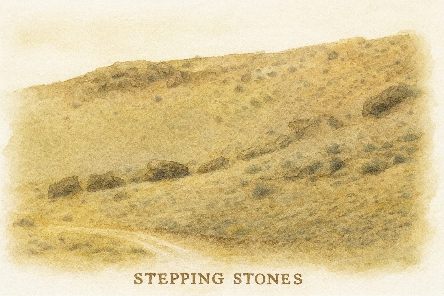 Watercolor field-journal illustration of a sloped hillside with a scatter of dark stones.